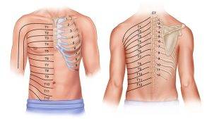 Intercostal Nerve Block