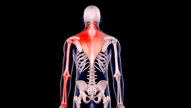 درد گردن و دست